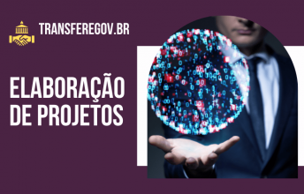 Elaboração de Projetos no TransfereGov.br para Prefeituras e Terceiro Setor